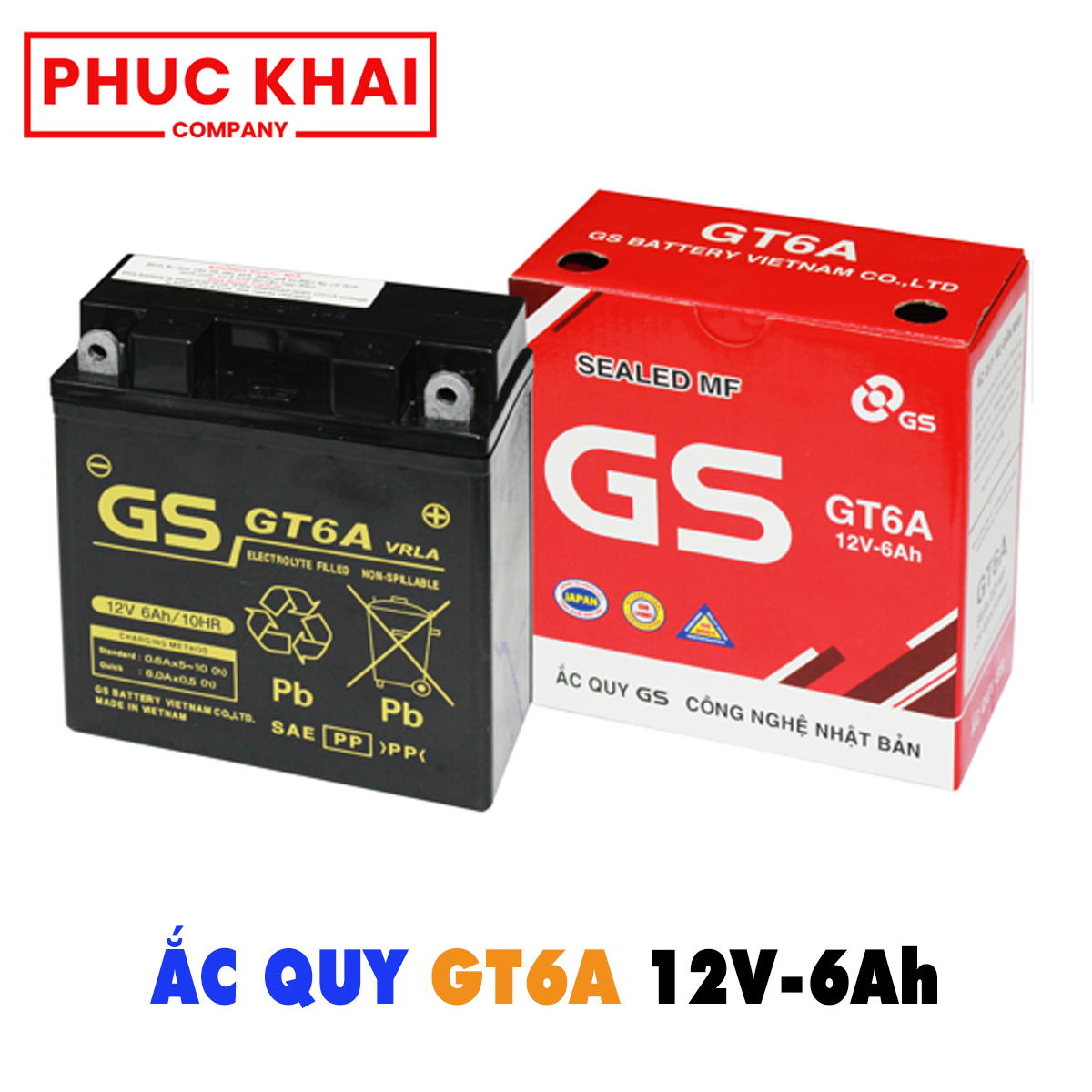 Bình ắc quy GS GT6A (12V-6Ah)